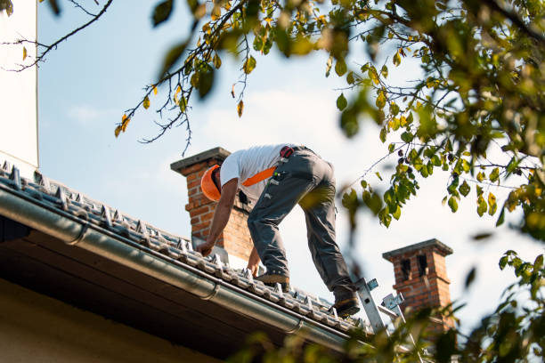 Quick and Trustworthy Emergency Roof Repair Services in Holly Springs, MS