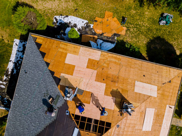 Best Gutter Installation and Roofing  in Holly Springs, MS