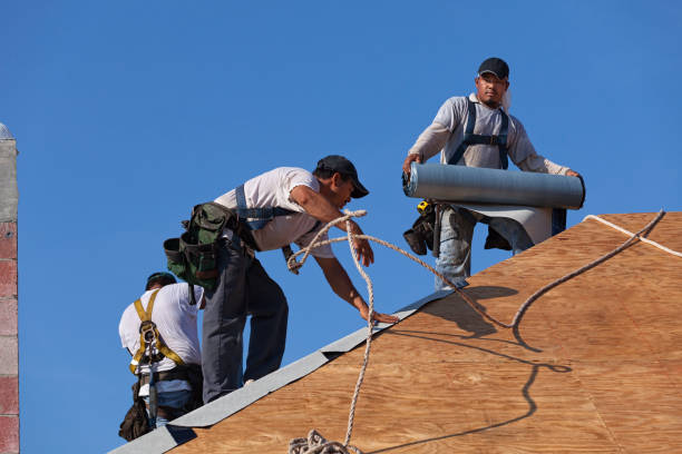 Best New Roof Installation  in Holly Springs, MS