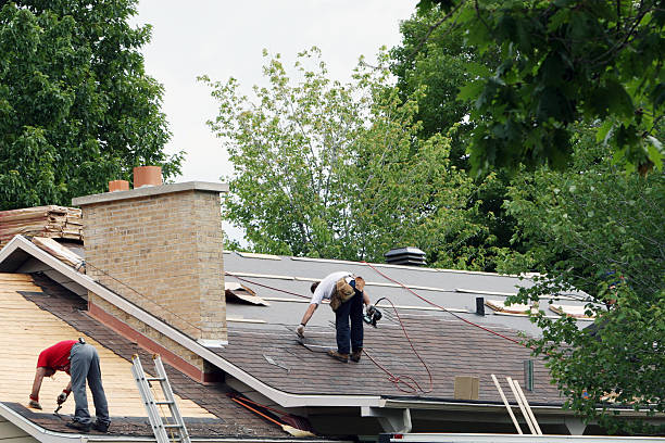 Best Roof Maintenance Services  in Holly Springs, MS